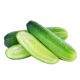 Cucumber শসা Sosa 1 kg